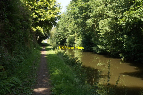 Photo 6"x4" Leeds-Liverpool Canal between Haskayne and Halsall Barton\/SD3509 c2015