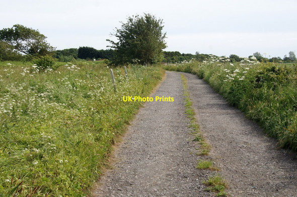 Photo 6"x4" Mere Lane, Halsall Barton\/SD3509 c2015