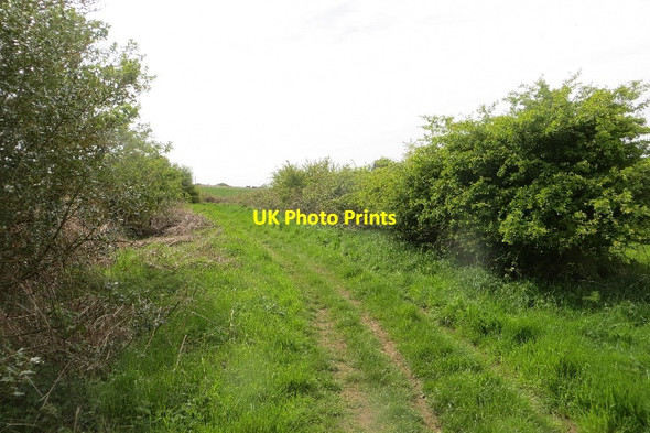 Photo 6"x4" Rake Lane Guyzance c2015