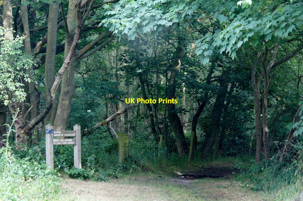 Photo 6"x4" Bridleway through Burroughs Wood, Formby Moss Formby c2015