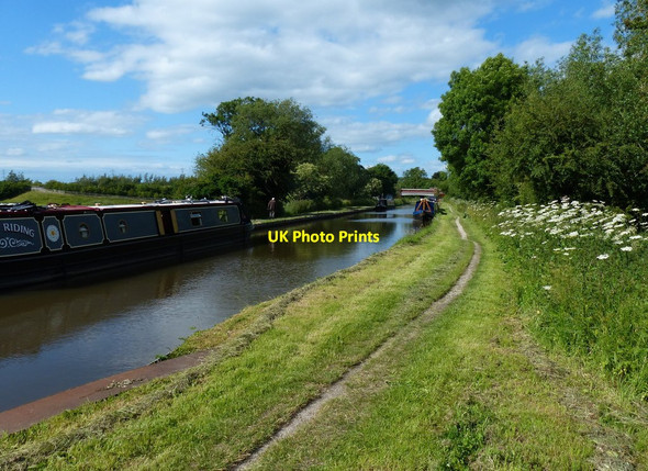 Photo 6"x4" North along the Trent & Mersey Canal Rugeley c2015