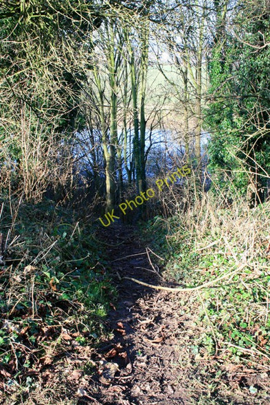 Photo 6"x4" Muddy Path to the Trent Clifton\/SK5434 c2009