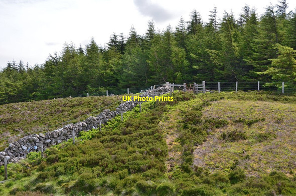 Photo 6"x4" Summit of Kailzie Hill Laverlaw c2015