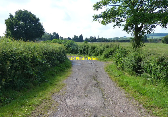 Photo 6"x4" Boat Lane near the village of Weston Salt c2015