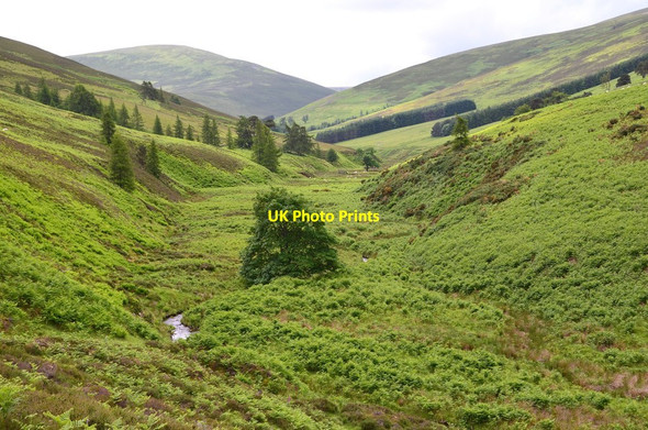 Photo 6"x4" Valley floor, Glen Sax Laverlaw c2015