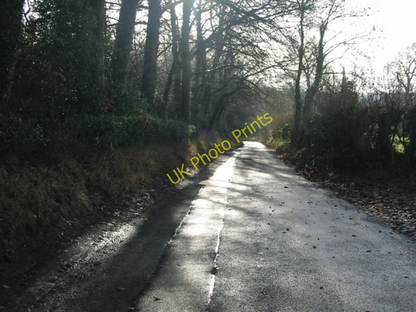 Photo 6"x4" View along Rectory Lane towards Barham Barham\/TR2050 c2009