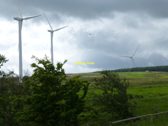 Photo 6"x4" Rosebrough Moor Warenford c2015
