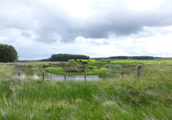 Photo 6"x4" Wildfowl pond Warenford c2015