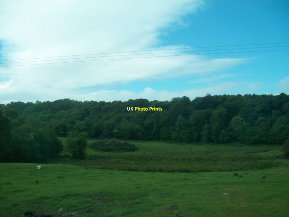 Photo 6"x4" Woodland at Drumaness Park west of the A24 Drumaness c2015