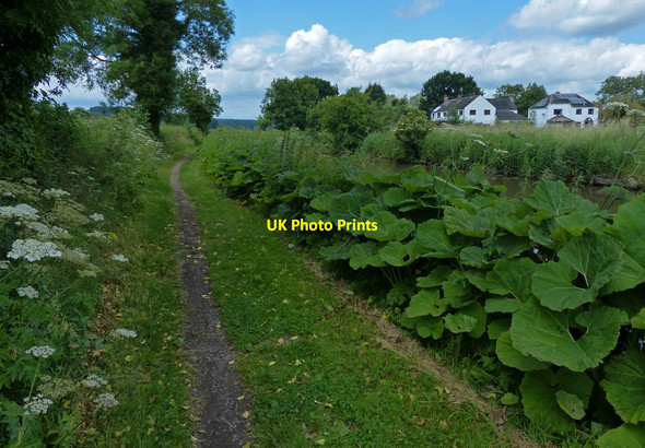 Photo 6"x4" Houses next to the Trent & Mersey Canal Bishton\/SK0220 c2015