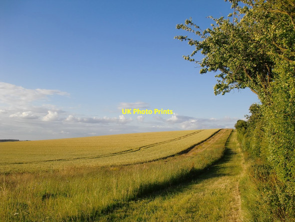 Photo 6"x4" Bridleway towards Bygrave Bygrave c2015