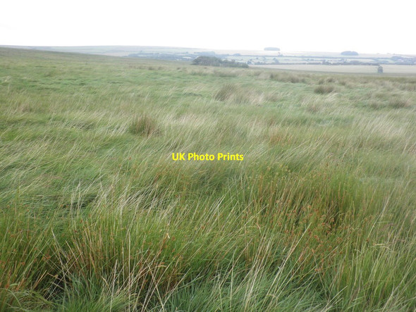 Photo 6"x4" Moorland above Great Woolcombe Simonsbath c2015