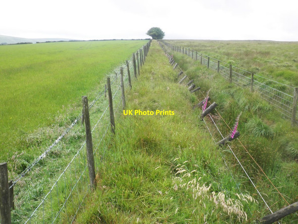 Photo 6"x4" Deer fence, Exmoor North Radworthy c2015