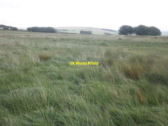 Photo 6"x4" Moorland near Horsen Farm Simonsbath c2015