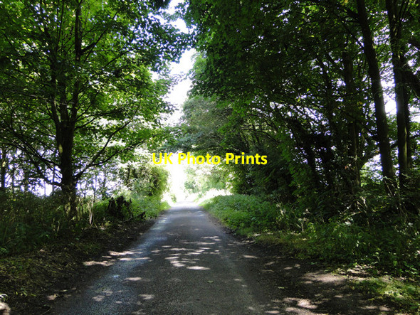 Photo 6"x4" Road between Roger and High Grove Plantations Rougham\/TF8320 c2015