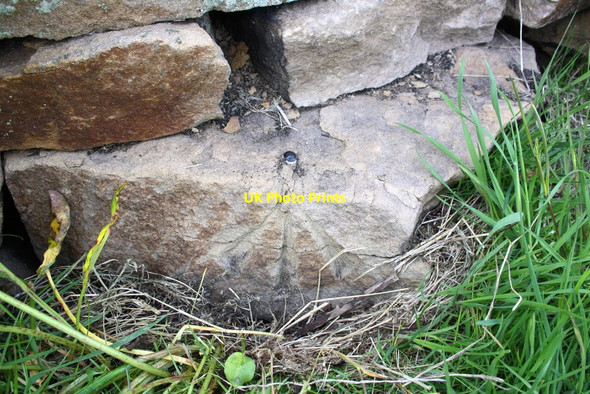 Photo 6"x4" Benchmark on wall beside Pennine Way on Elslack Moor Raygill\/SD9445 c2015