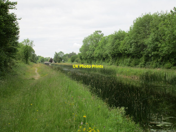 Photo 6"x4" The Grand Canal near Belmont Belmont\/N0722 c2015