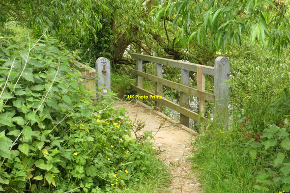 Photo 6"x4" Footbridge on the Thames Path Appleford c2015