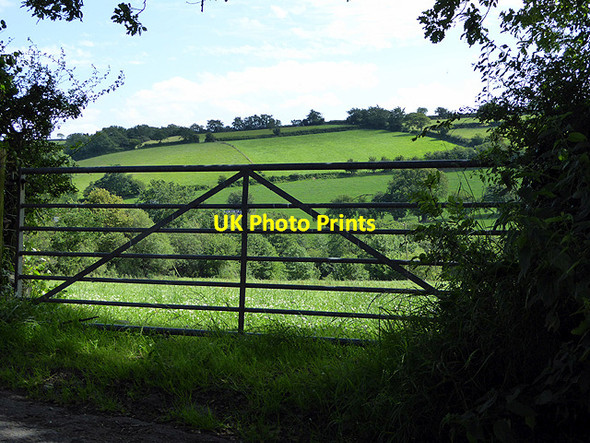 Photo 6"x4" Farm gate Cefn Llwyd\/SN6483 c2015
