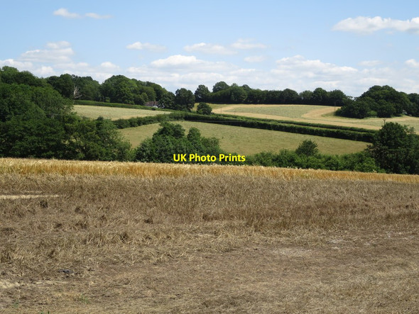 Photo 6"x4" Fields off Water Lane Woodsden\/TQ7731 c2015