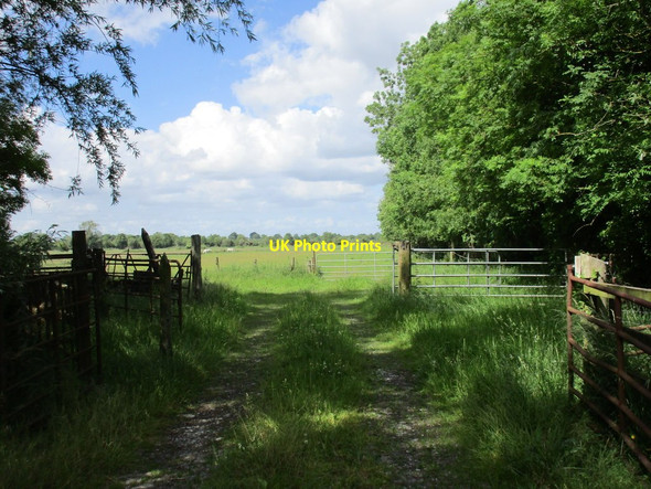 Photo 6"x4" Field entrance near Cashel Cashel c2015