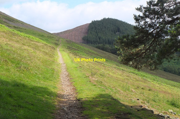 Photo 6"x4" Hill path on Cademuir Bellanrigg c2015