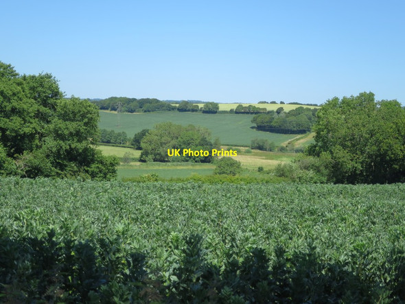 Photo 6"x4" Crop field by Kitchenham Hazard's Green c2015