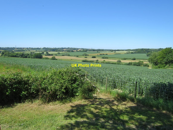Photo 6"x4" Crop field by Kitchenham Hazard's Green c2015 P1