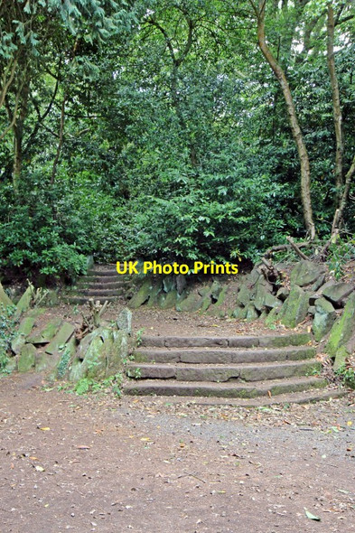 Photo 6"x4" Steps by the fountain, Eastham Country Park Eastham Ferry c2015
