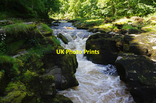 Photo 6"x4" The Strid Storiths c2015