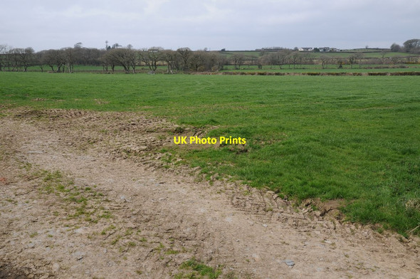 Photo 6"x4" Devon farmland Eckworthy c2015