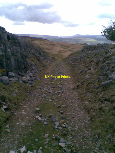 Photo 6"x4" Brecon Forest Tramroad Incline Penwyllt c2015