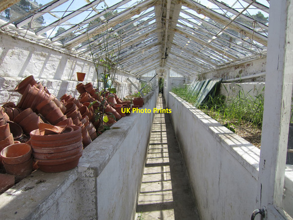 Photo 6"x4" The Walled Nursery Gun Green c2015 P3