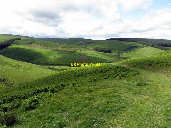 Photo 6"x4" Clennell Street near Camp Tops Sourhope c2015