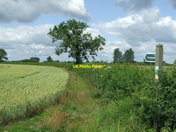 Photo 6"x4" Footpath and footpath sign Stone Street\/TM3882 c2015