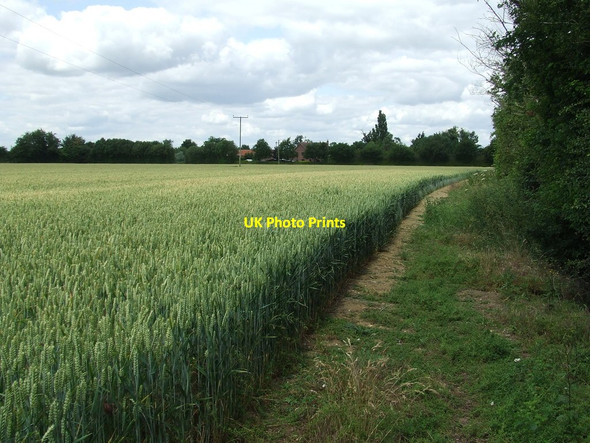 Photo 6"x4" Footpath And Field Boundary Redisham c2015