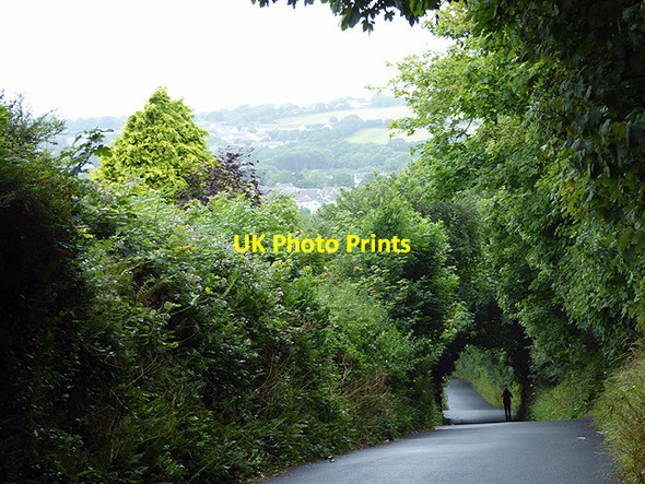 Photo 6"x4" Grove Hill Pembroke\/Penfro c2015