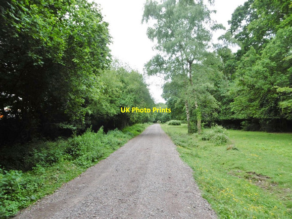 Photo 6"x4" Cadnam, bridleway Cadnam c2015
