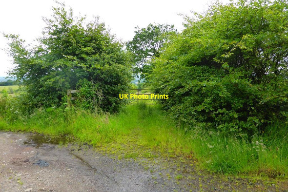 Photo 6"x4" Right of Way to Torrance Lennoxtown c2015