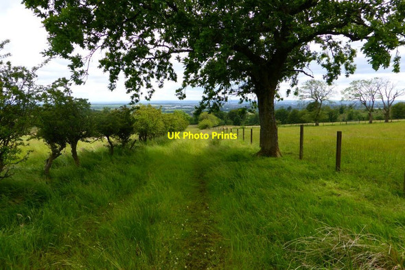 Photo 6"x4" Path to Torrance [2] Lennoxtown c2015