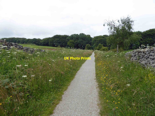 Photo 6"x4" Blakemoor plantation ahead on the High Peak Trail Heathcote\/SK1460 c2015