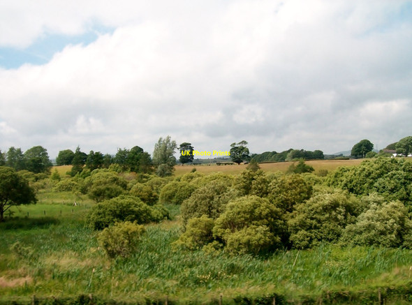 Photo 6"x4" Wooded bog land between Clough and Seaforde Clough\/J4040 c2015