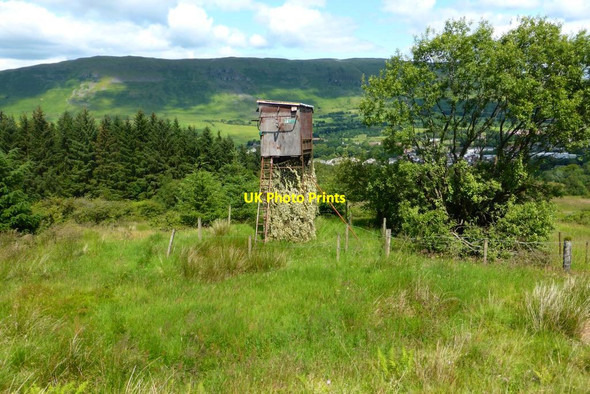 Photo 6"x4" Observation tower Lennoxtown c2015