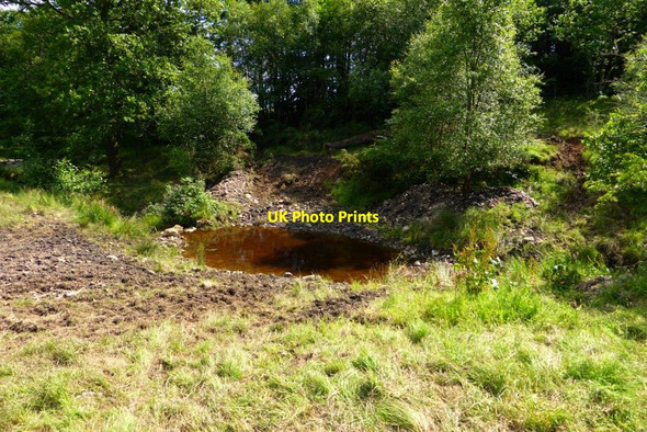 Photo 6"x4" Cattle Pond Lennoxtown c2015