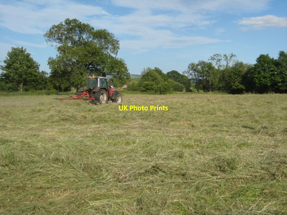 Photo 6"x4" Haymaking in Earl's Croome Baughton c2015