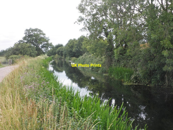 Photo 6"x4" The canal, near Cogload Junction Outwood\/ST3028 c2015