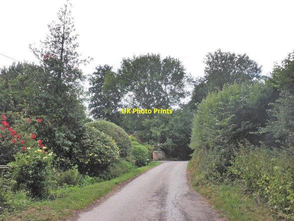 Photo 6"x4" Frog Lane, Durston Charlton\/ST2926 c2015