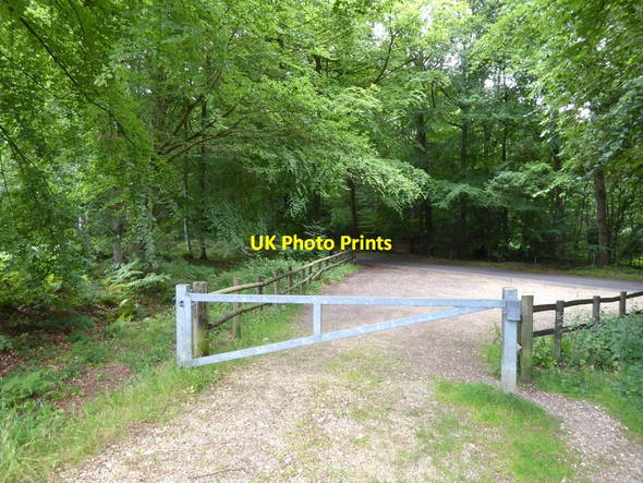 Photo 6"x4" Serpent Trail meets unnamed lane north of Rogate Common  Hill Brow c2015