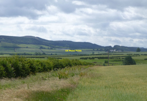 Photo 6"x4" Field of oats with hedge Chatton c2015