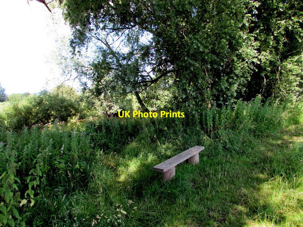 Photo 6"x4" Bench at the edge of the River Usk, Clytha Estate Aberffrwd\/SO3509 c2015